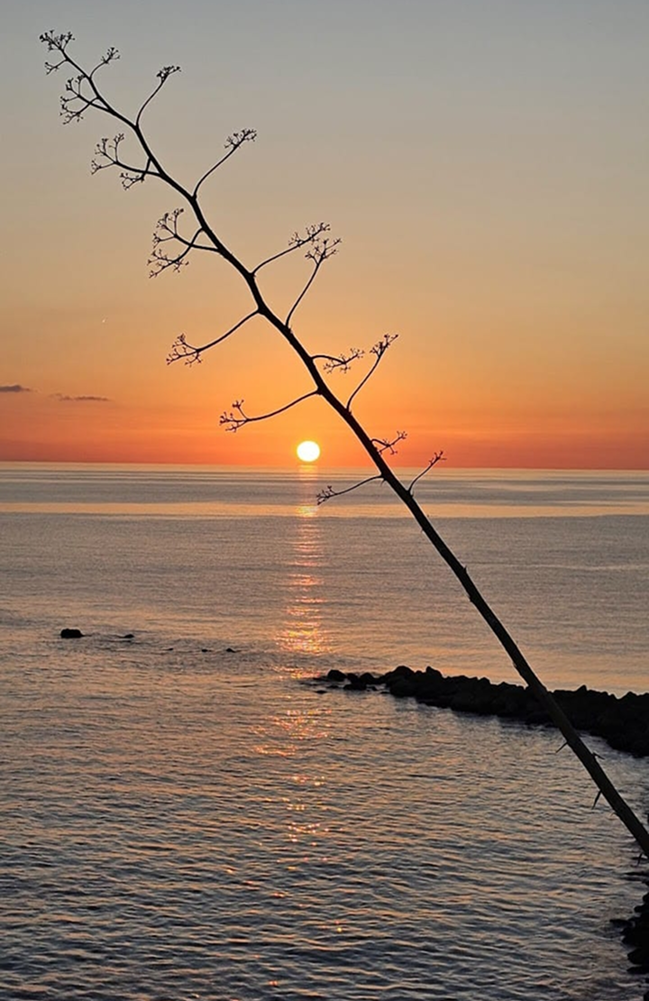 Screenshot com whatsapp